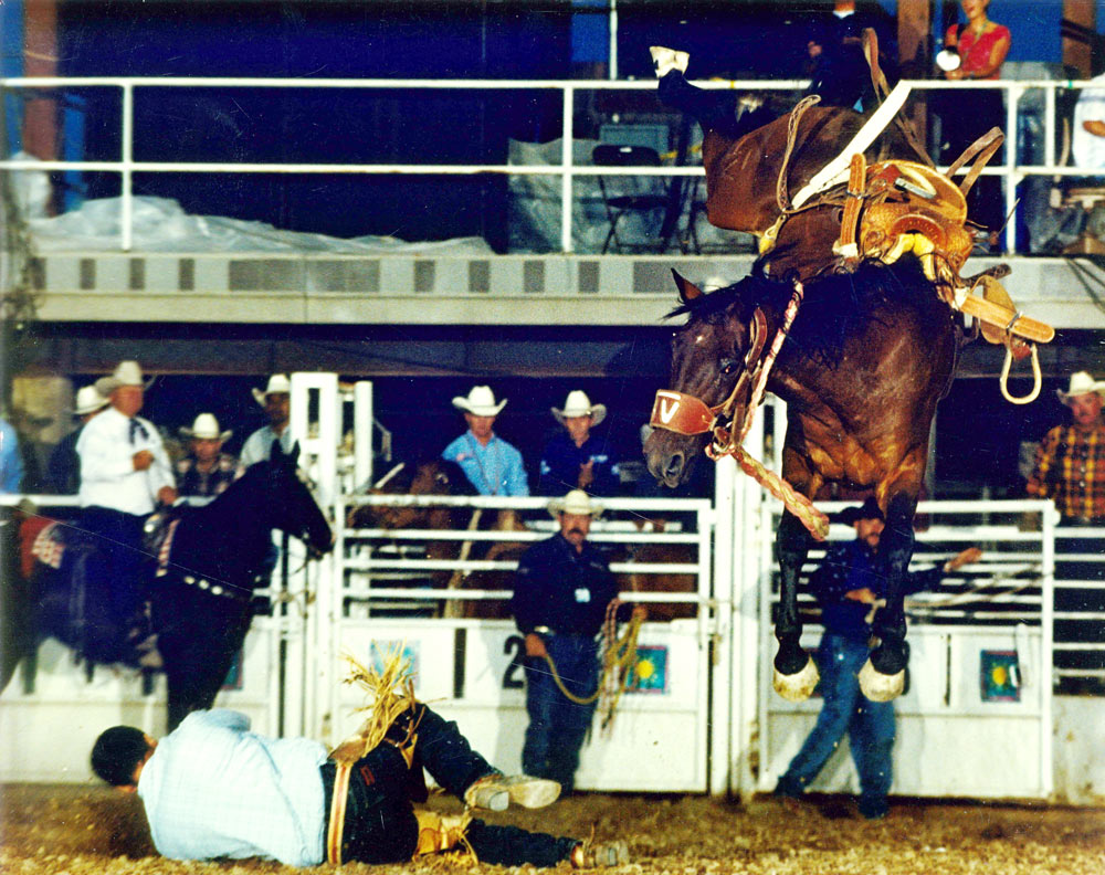voldrodeo-gallery-rodeo
