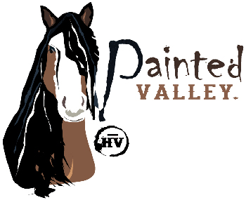 vold-rodeo-painted-valley-logo